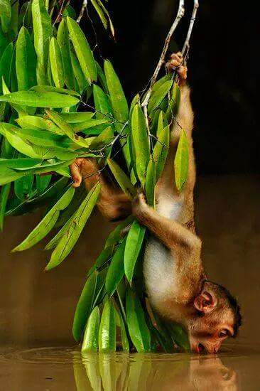 Bhargav_patel29's tweet image. 