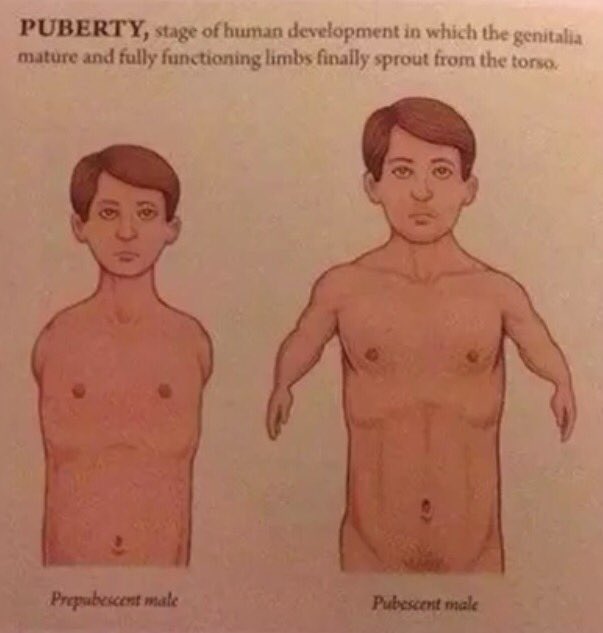 _killmeh's tweet image. Puberty: