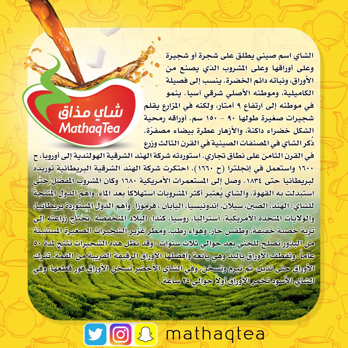 #معلومة تهمك 

#شاي_مذاق #قهوة #كوفي #روقان #السعودية