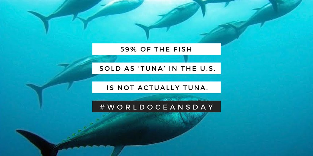 MercyForAnimals's tweet photo. #FACT: 59% of the fish sold as 'tuna' in the U.S. is not actually tuna. #WorldOceansDay #GoVegan https://t.co/FD0Qp1X94q