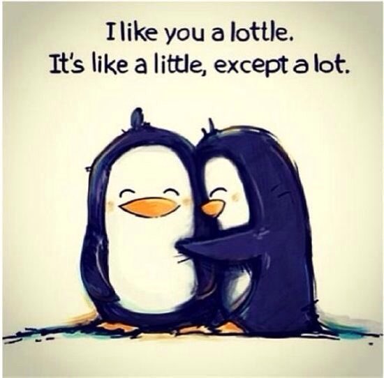 BookishServant's tweet photo. #NationalBestFriendsDay @CeruIeanEyes https://t.co/olUhF0XRvQ