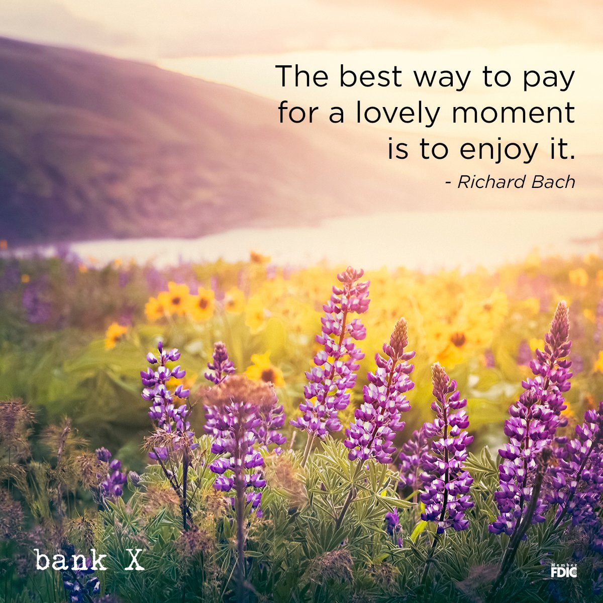 BankXUSA's tweet photo. https://t.co/JX0Vp7LWfX