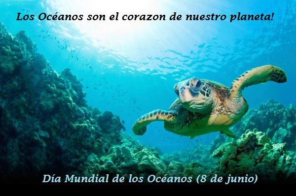 Los océanos conectan a las personas de todo el mundo, sin importar donde vivan. Mensaje de la ONU celebra 8 de junio
