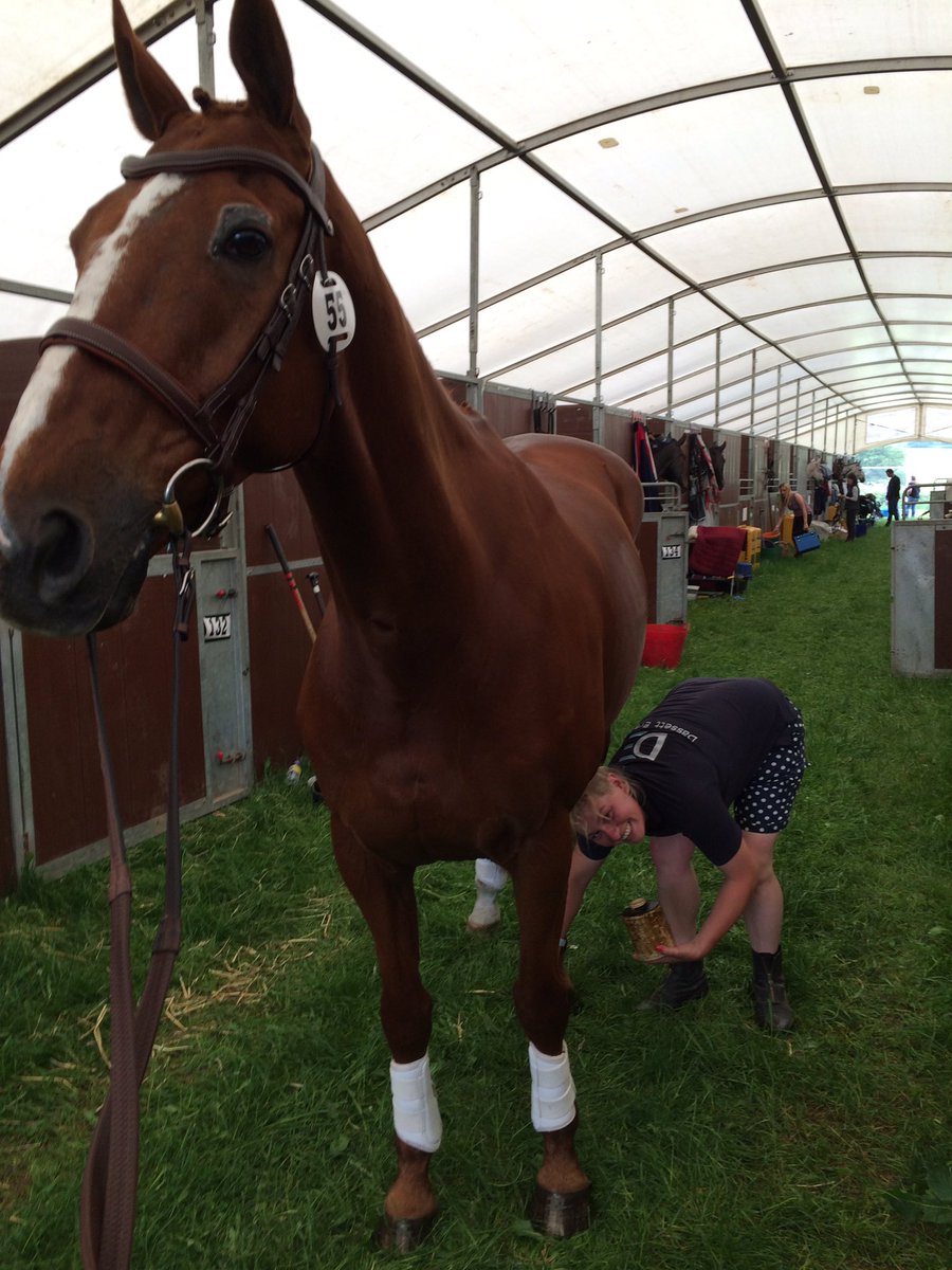 Dassett Eventing tweet media