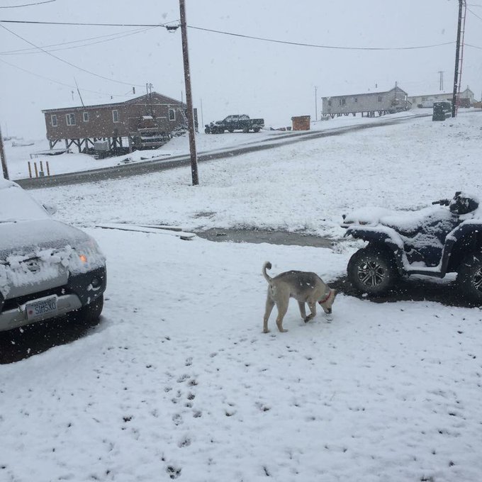 View image on Twitter View image on Twitter