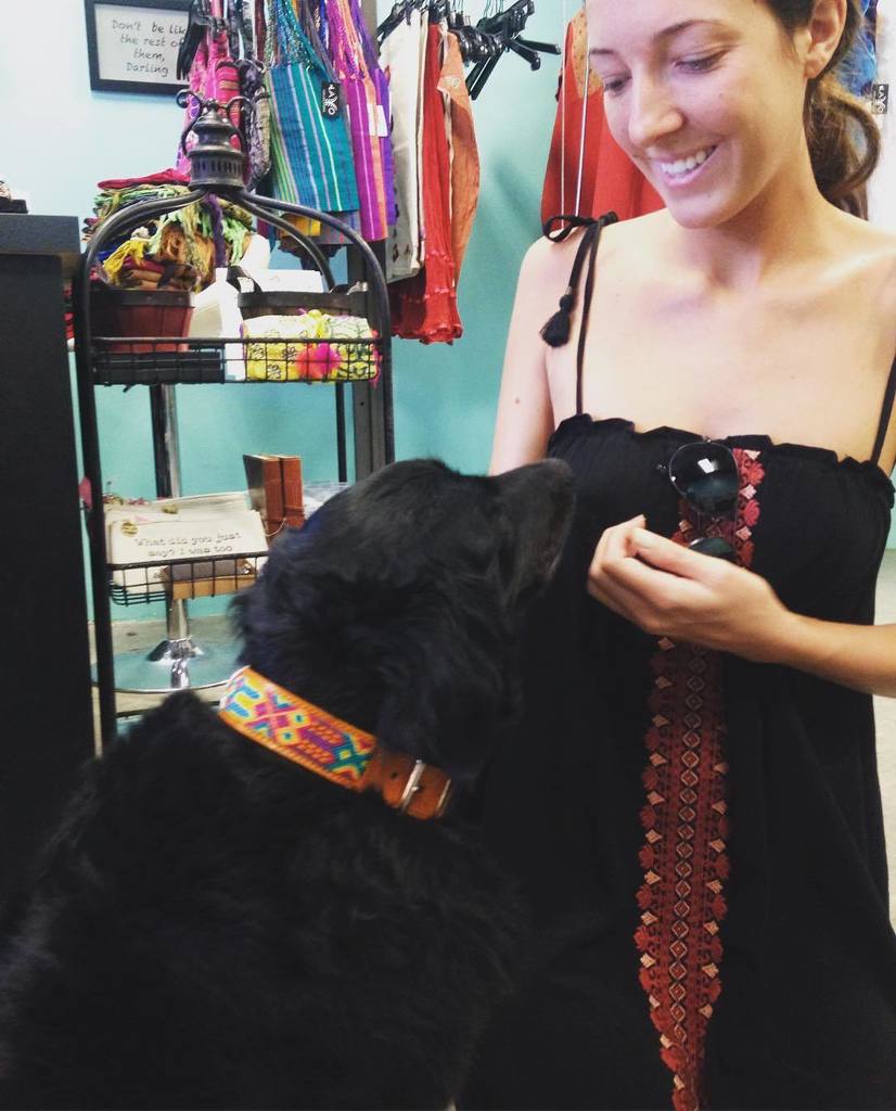 LavoAustin's tweet photo. She was pampered and got a new collar. Such a sweet puppy! #puppy #doglover #lovemydog #fun #collar #dogcollar #col… https://t.co/Oqg1Zi7hqj