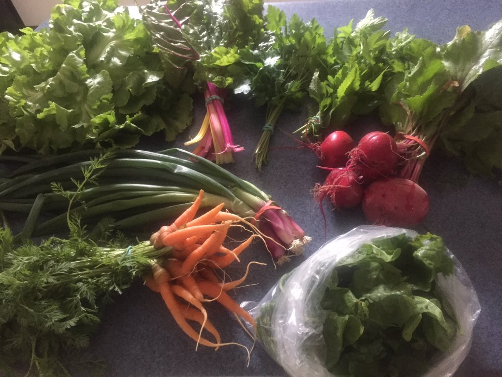 PastryGrl's tweet photo. The first #CSA of the year! #localfarms #RedPlanetVegetables https://t.co/ye12JJKGia