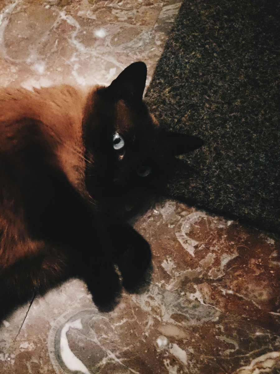 latasand's tweet photo. We'll miss you Michelinni https://t.co/Zs8BJmcye0