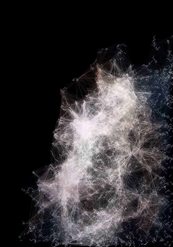visualcodepoems's tweet image. Images inspired by giant natural webs #code #poetry #nature