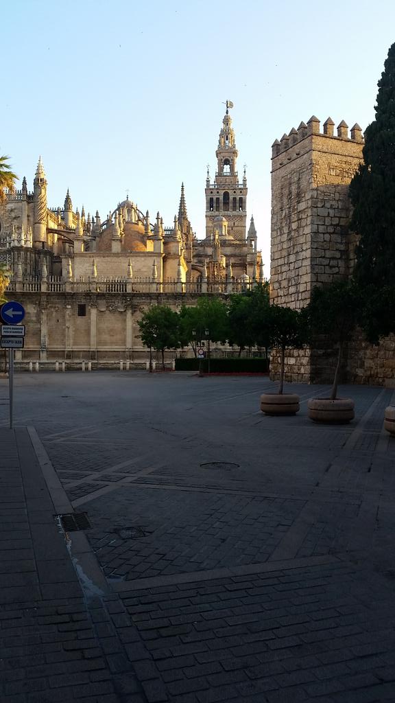 🇪🇸🇪🇸🇪🇸 tweet media