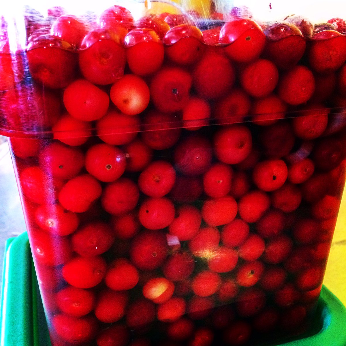 And now they've been pickled. <a href="/Churchview_Farm/">Churchview Farm</a>. Still a few tix available for our Sunday farm dinner, can't wait!