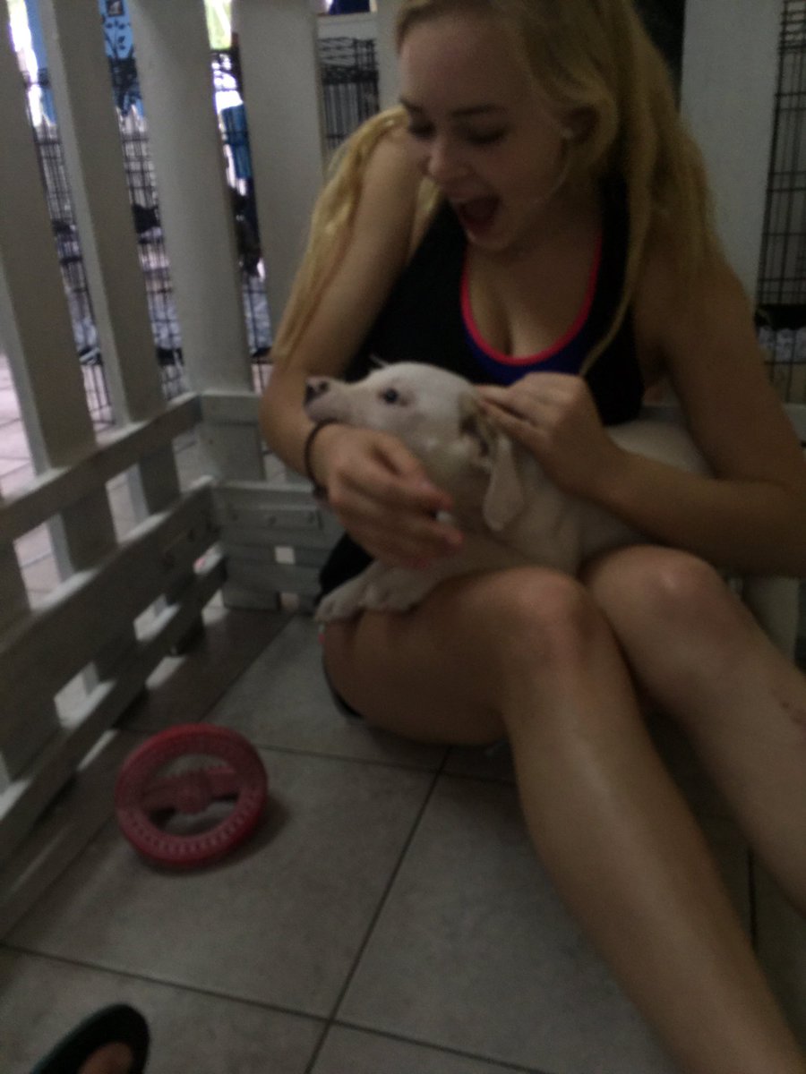 goldiekna66's tweet photo. my face says it all... i just really really love dogs https://t.co/E9tdlVSZYD