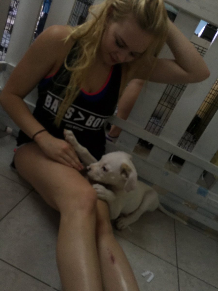goldiekna66's tweet photo. my face says it all... i just really really love dogs https://t.co/E9tdlVSZYD