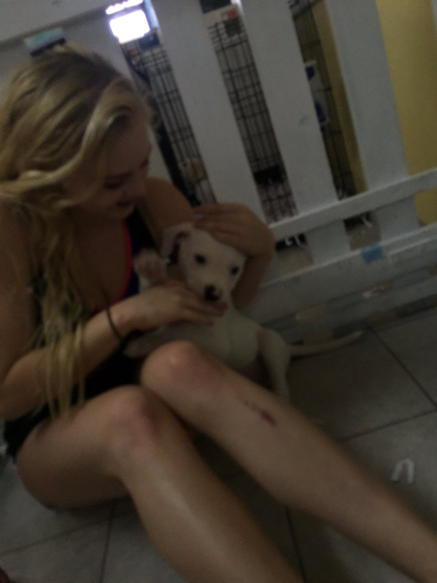 goldiekna66's tweet photo. my face says it all... i just really really love dogs https://t.co/E9tdlVSZYD