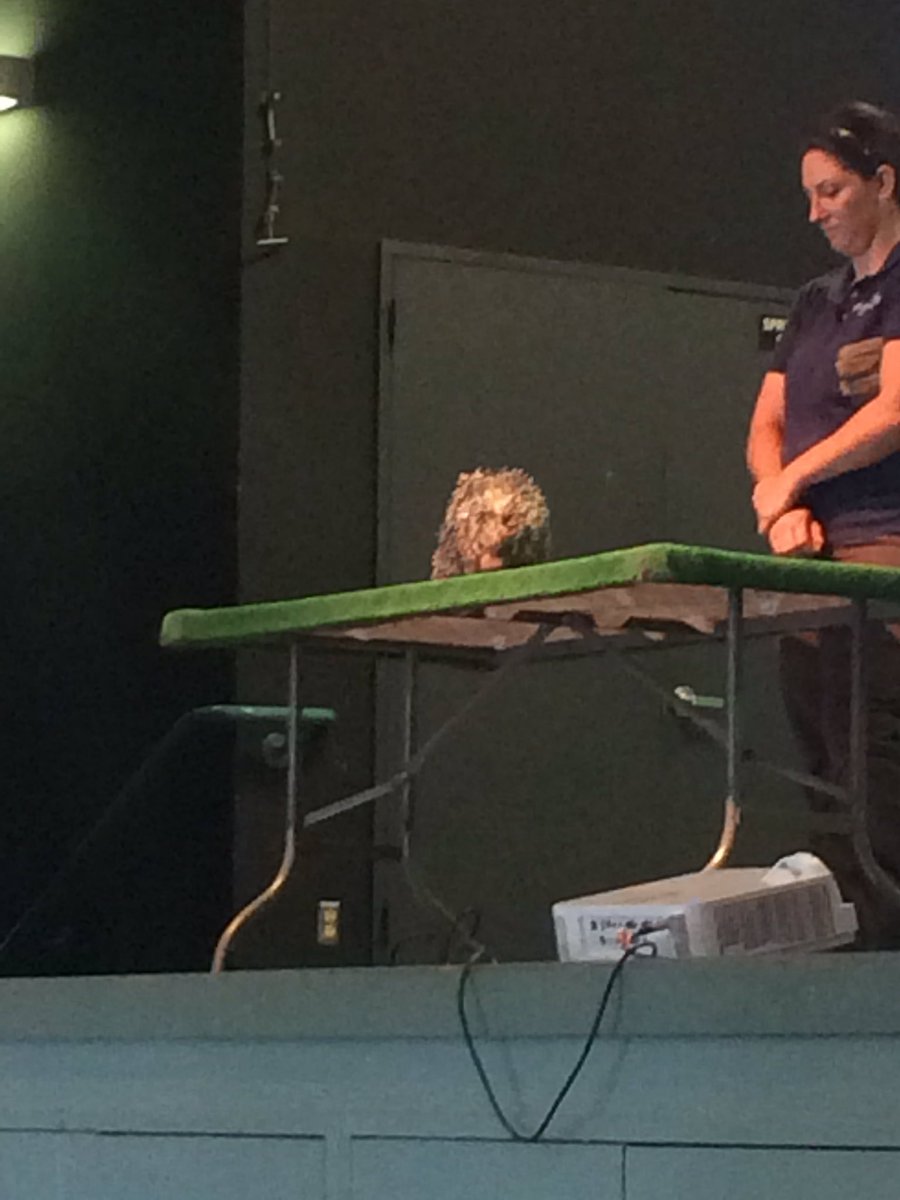 Woodside Elementary tweet media