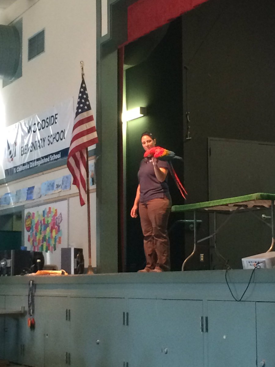 Woodside Elementary tweet media