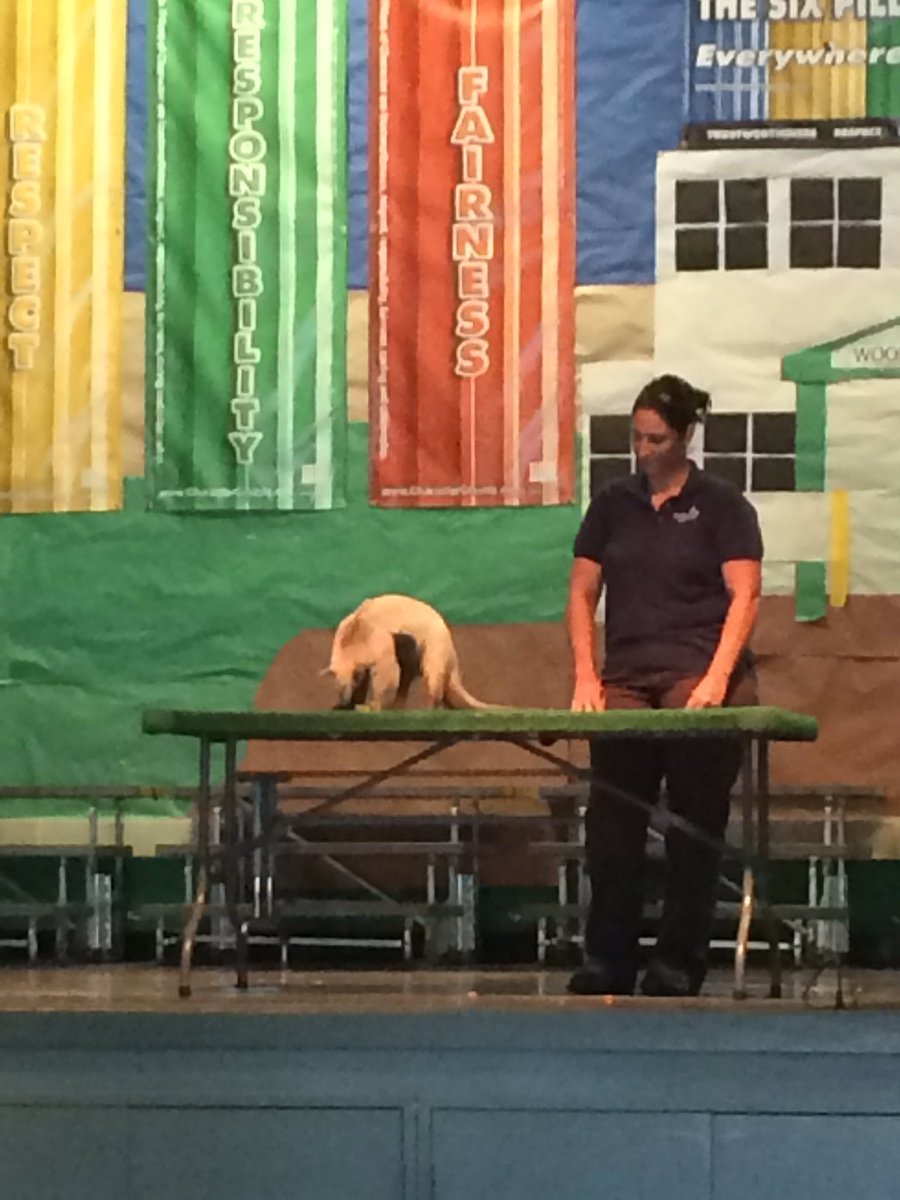 We had a great Wildlife Associates assembly today, thanks PFC for funding this!