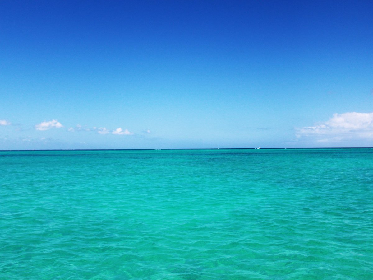 Today it's #WorldOceansDay. Protect our oceans today for future Generations! #paradise #turksandcaicos