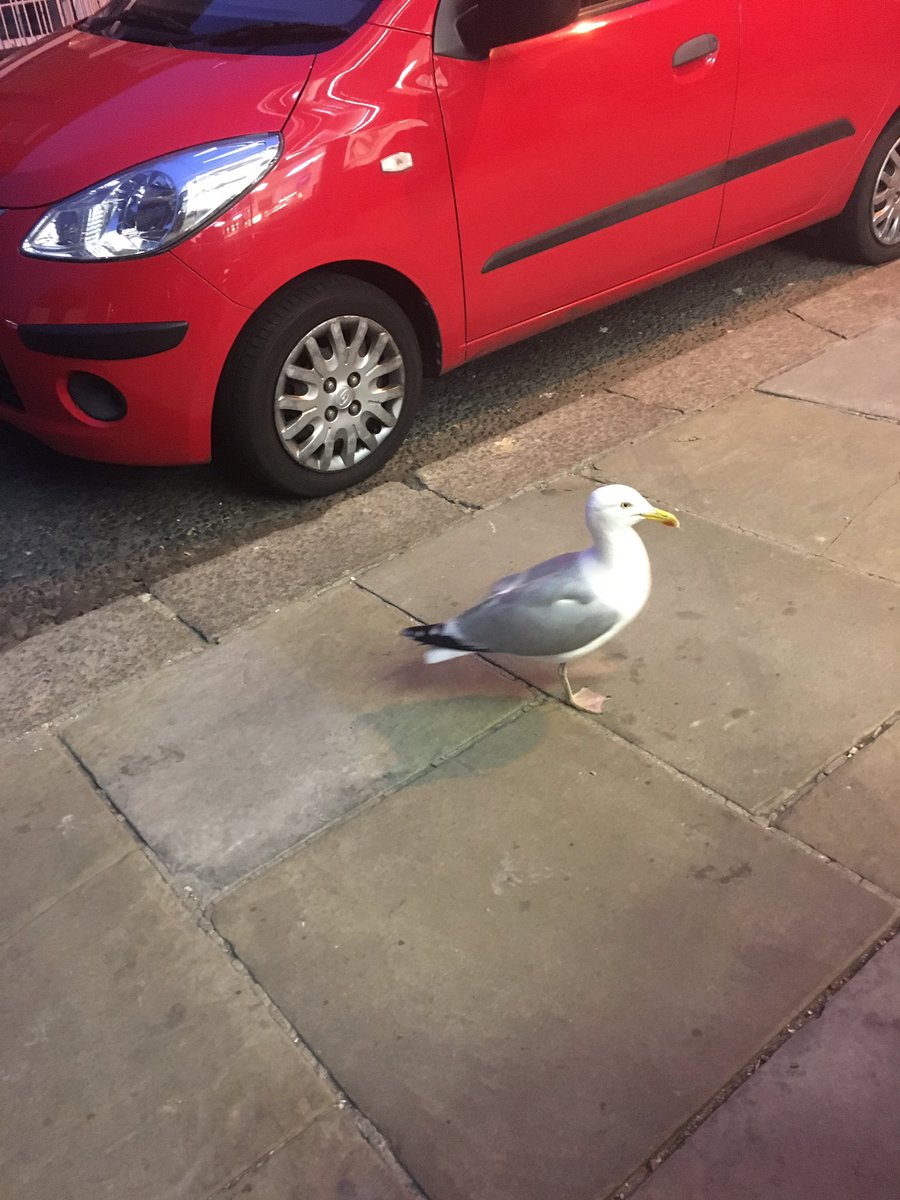 FK2FRA's tweet photo. Dangerous on the streets of Dover! #ThugGul https://t.co/ZUQfwgyjvy