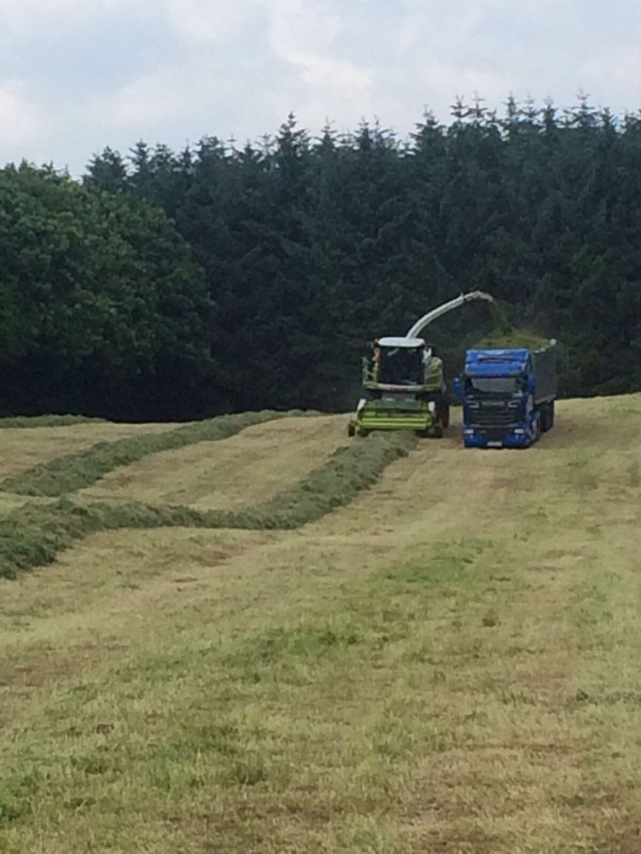 Agrisolicitor's tweet photo. Silage time at Meehans! When a tractor and trailer just doesn't 'cut it' anymore 😂#precisionharvestingltd https://t.co/AHroa1CV9a