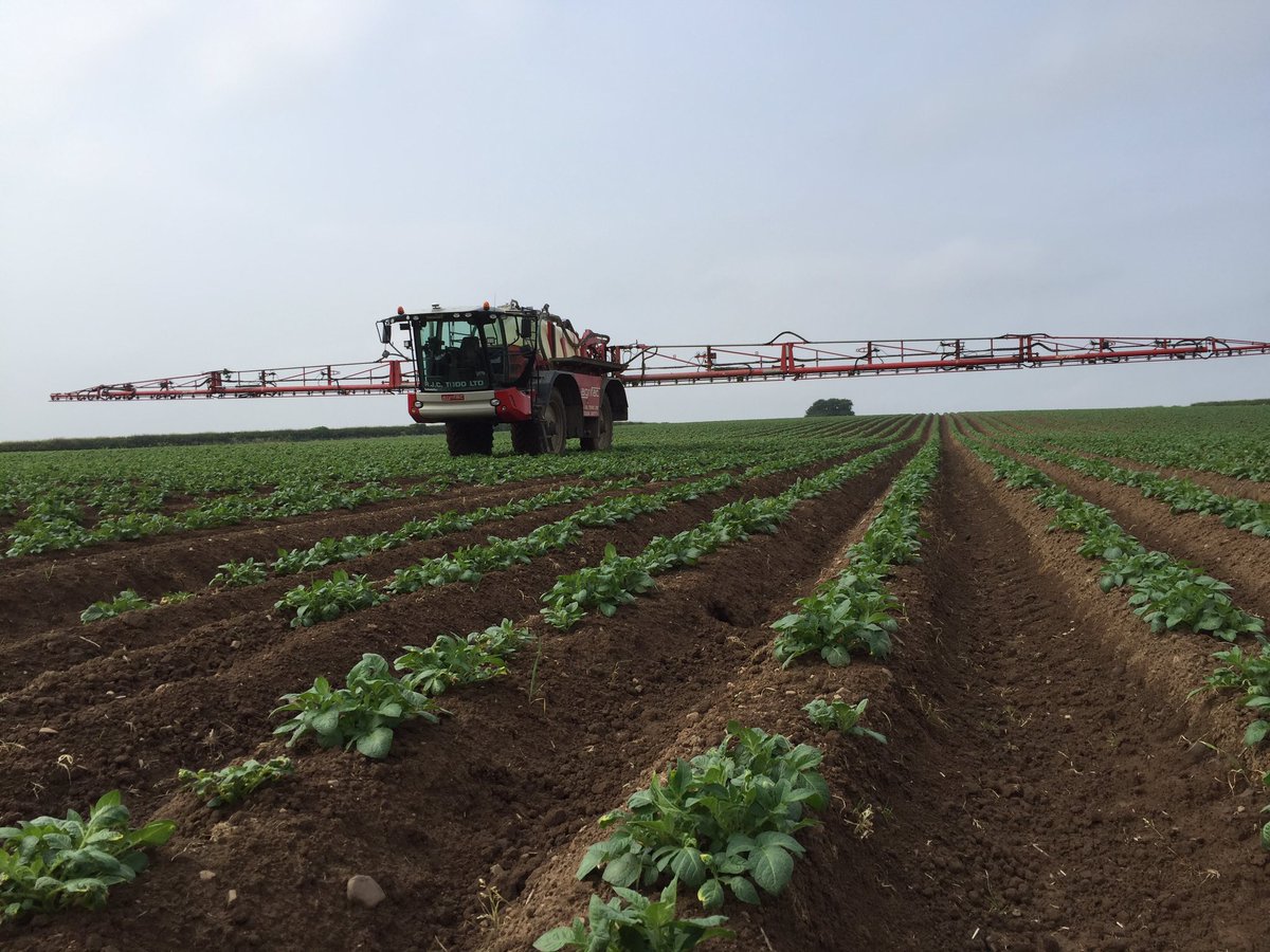 david_mattocks3's tweet image. #agrifac endurance on potatoe  blight spray