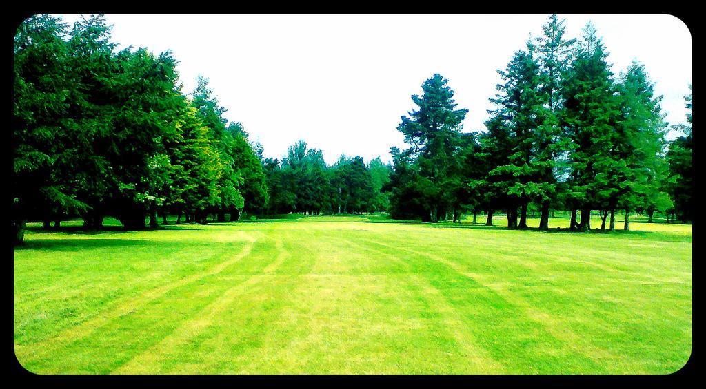 Charleville GC tweet media