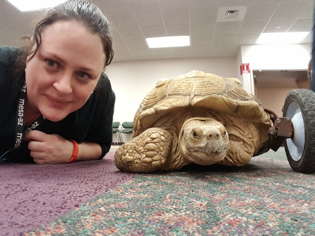 MesaLibrary's tweet photo. Hanging out with @Rollingtortoise between @WildmanPhil shows. #selfiewithstumpy https://t.co/A9z4y4ub29