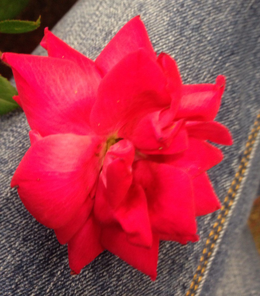 TeacherZinn's tweet photo. #GiftFromAStudent #FeelingLoved #GoWakelon https://t.co/b2Uw41LDcd