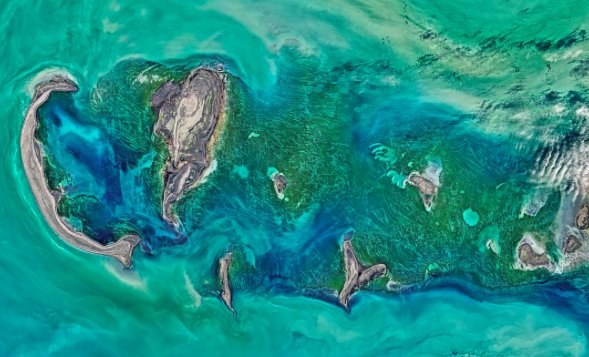 ScienceChannel's tweet photo. To date, we have explored less than 5% of the ocean. What do you think is down there?! #WorldOceansDay https://t.co/eTXFWkPT74