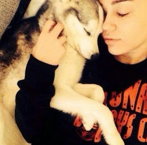 MarcosSmiler777's tweet photo. Your heart's so big and full of deep wounds... @MileyCyrus #RIPFloyd #smiler4ever #smiler #smilers #depresive https://t.co/V3HK3Y7PSq
