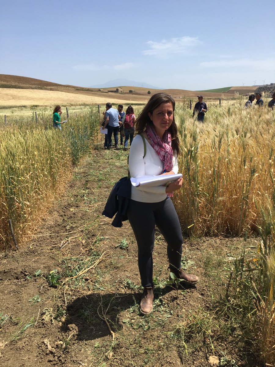 san_giovannello's tweet photo. #biodiversità - salvaguardia dei #semi per le generazioni  future  https://t.co/7vjJ206PMX https://t.co/5tVVym9jdL