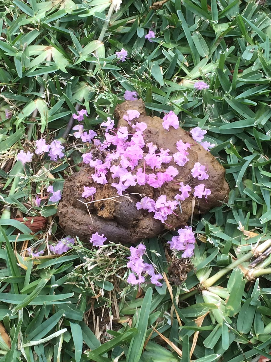 Sexual Jeremy tweet media