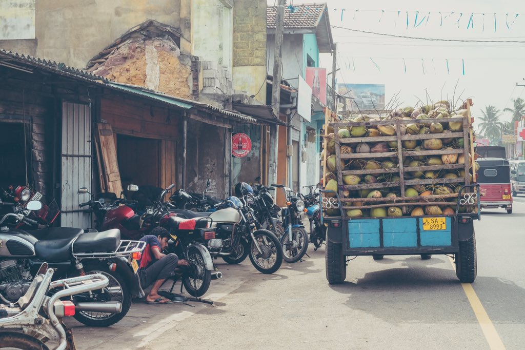 theblondeabroad's tweet photo. Highlights from my first day exploring Southern #SriLanka w/ @walkerstoursltd | #walkerstours https://t.co/SY6XUwTWN0