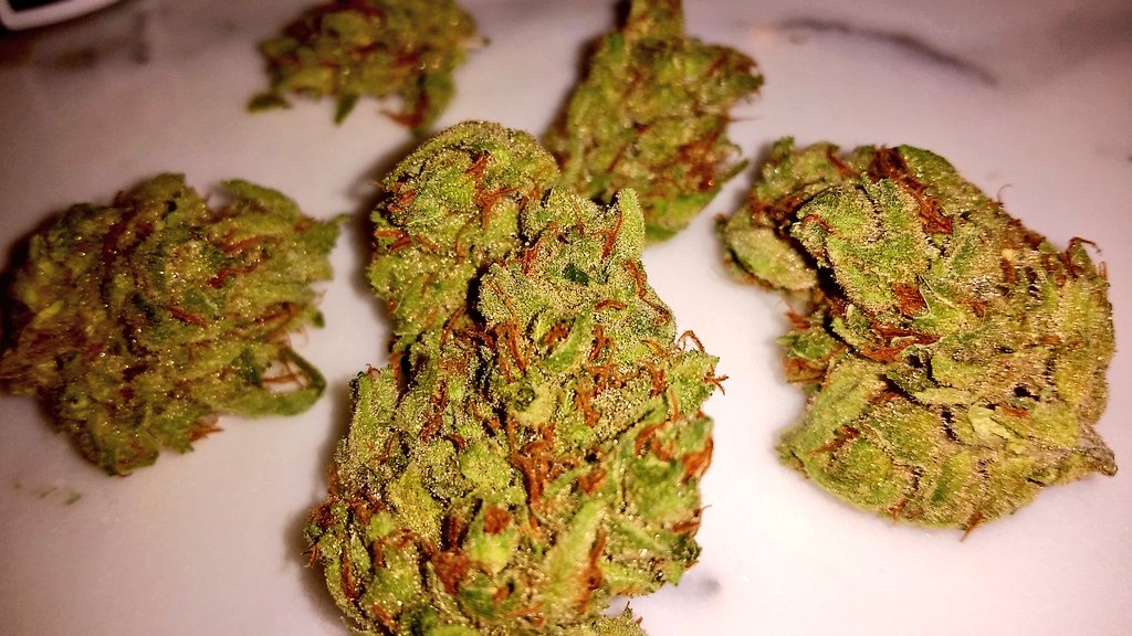 420 tweet picture