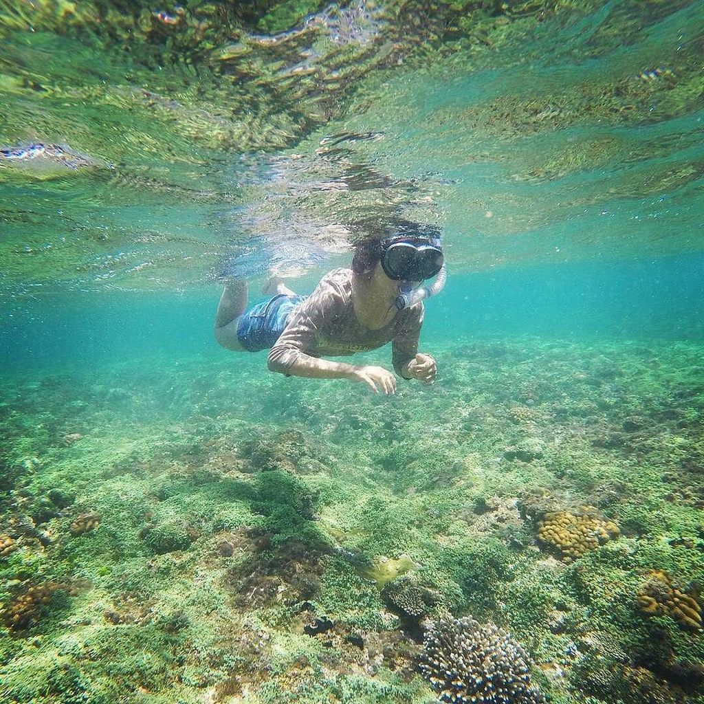 lombokfoto's tweet photo. https://t.co/l773dENy08 Snorkling bangko-bangko (Dessert point) #lombokfoto
From @vi_kaldera #snorkling #explorel… https://t.co/N9JvqOiW4f