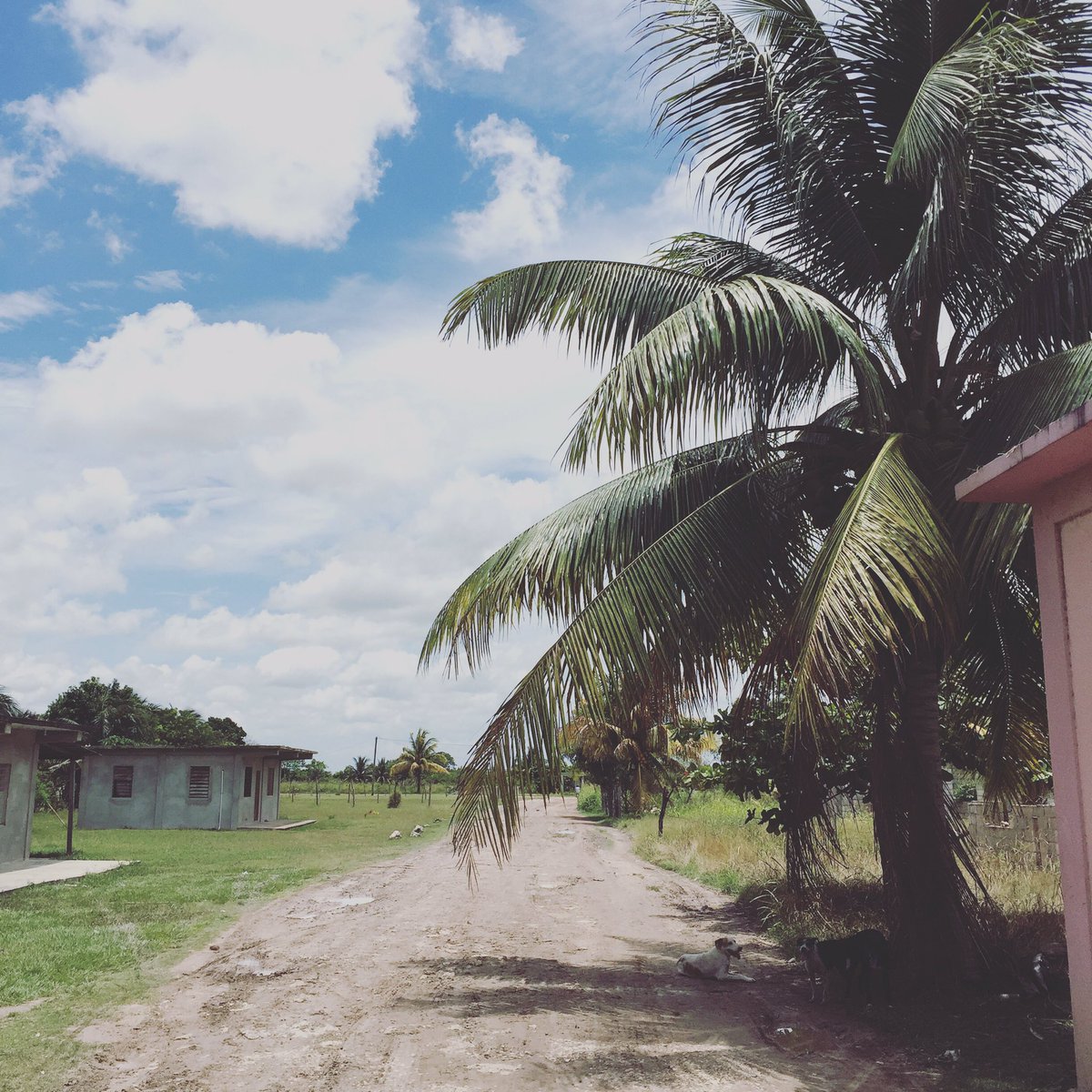 beth_overman's tweet photo. To be here, imagine 100+ degree heat and 89% humidity. @ncstate students served over 70 families today! #packabroad https://t.co/U7499ct6KV