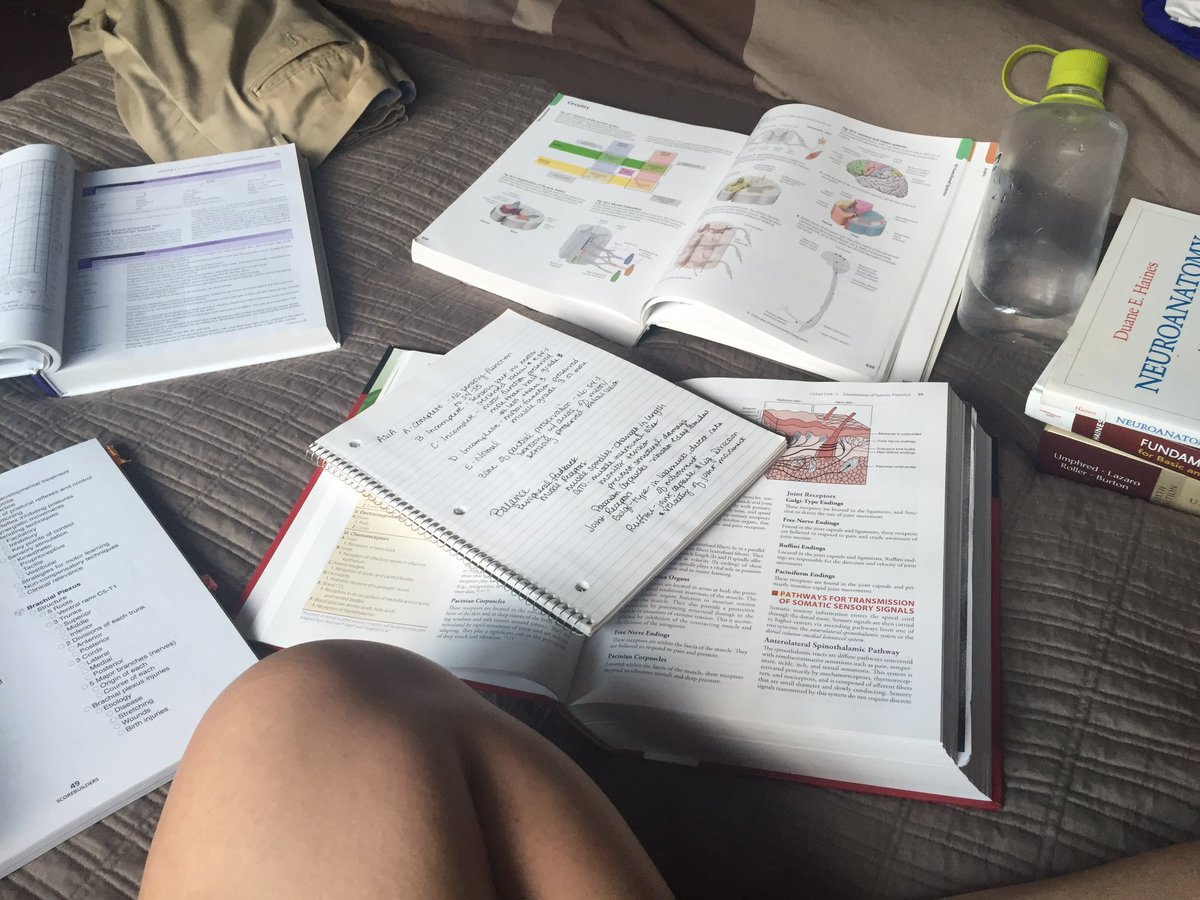 keb517's tweet image. My life the next 7 weeks. Preparing for boards #NPTE #PTschoolproblems #almostthere