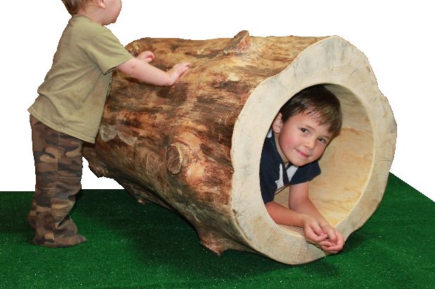 InnerCircleWood's tweet photo. ... that tree in your front yard taken down and sent to the landfill? Hollow logs have so many uses.. #wastenotree https://t.co/lP2nbcbWzL