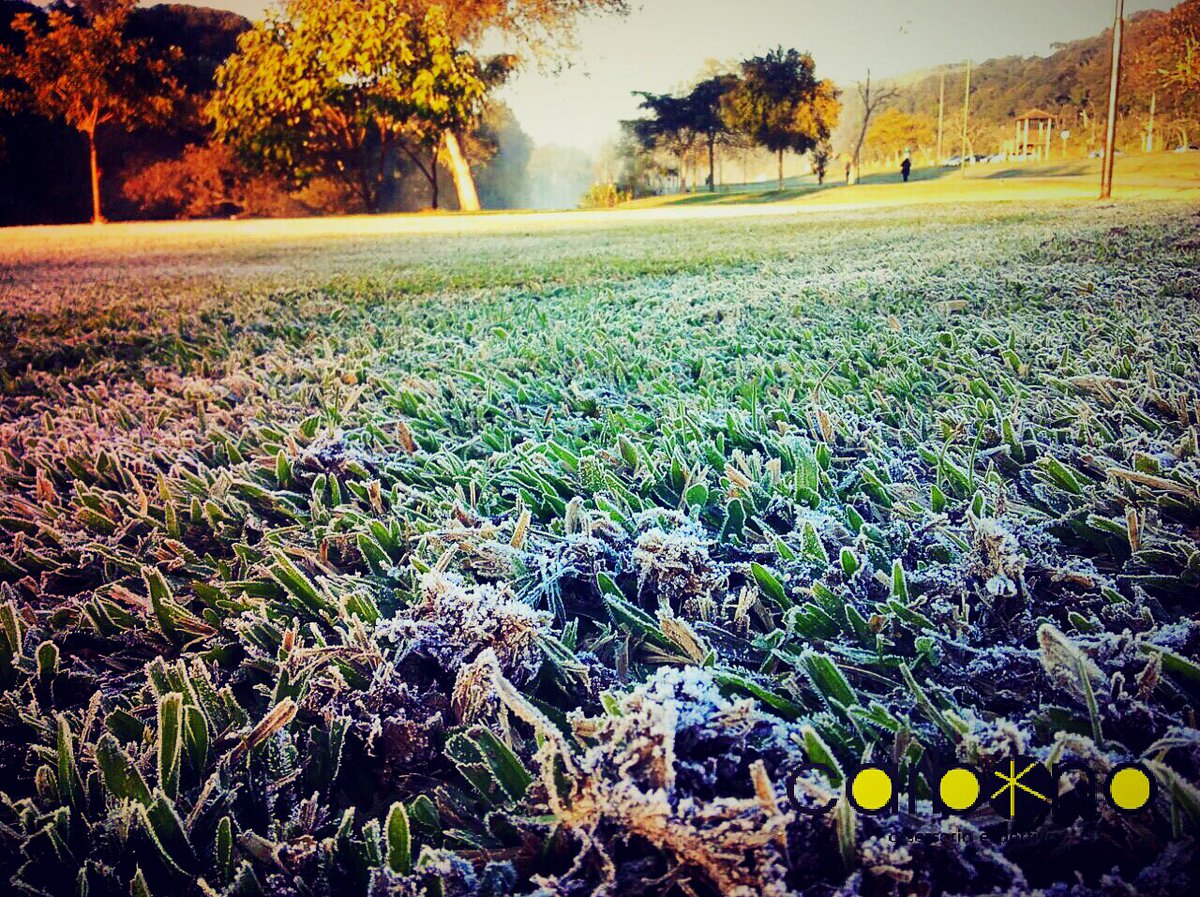 CarbonoAE's tweet photo. O treino que ocorreu hoje pela manhã. 💪Amanhã estará mais #frio 😖 Bora #correr para esquentar #Curitiba #fitness https://t.co/fyZMqyRIRo