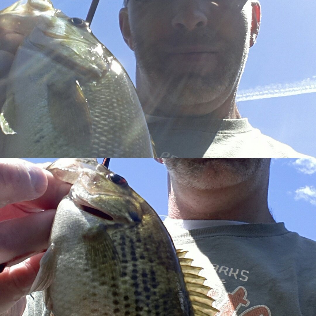 roberts_fishing's tweet photo. I had a good day on the river today. #fliefishing #flies #flietying #bass #filthyfamily #teamfilthy #filthynation https://t.co/PpkEpaig5s
