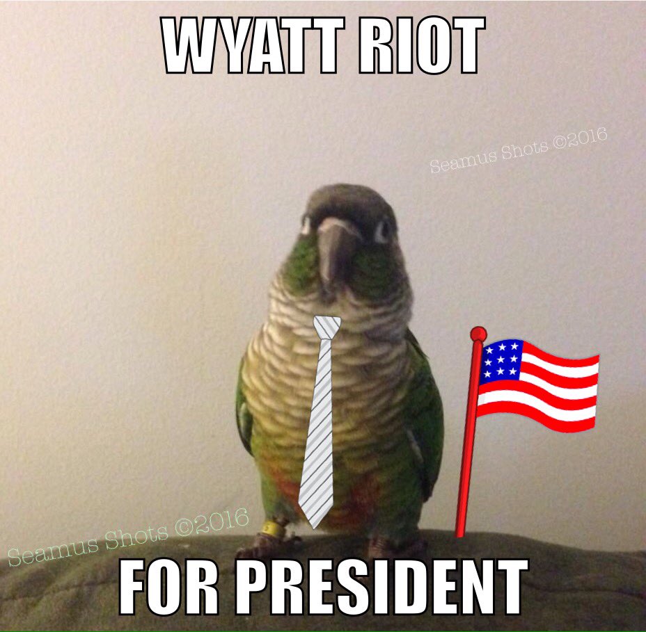 My baby brother @Wyatt_Riotgc for President! #wyattriotforpresident #GetOutTheVote