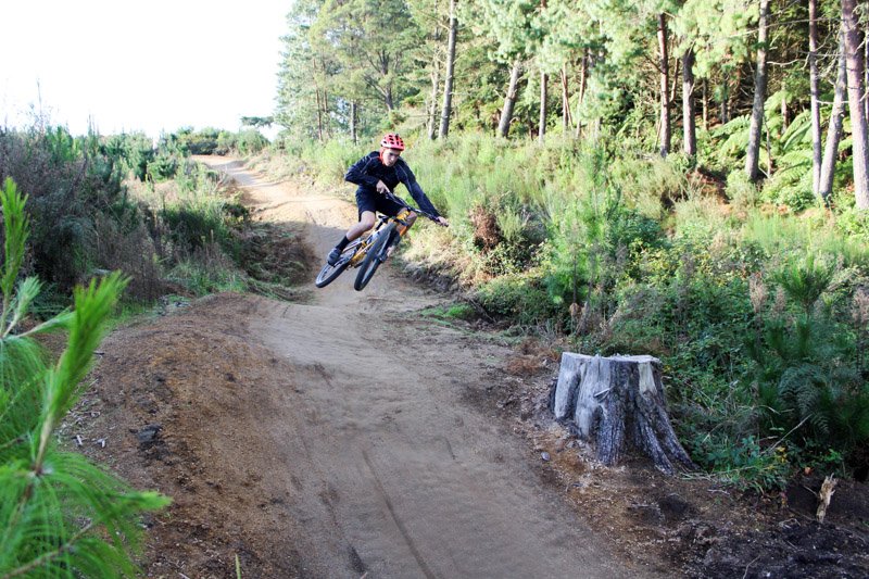 EscapeWithEllen's tweet photo. Mountain biking in New Zealand - there are trails for everyone https://t.co/bBDRQiPbLE @PureNewZealand #NZMustDo https://t.co/OtIKjrQwUb