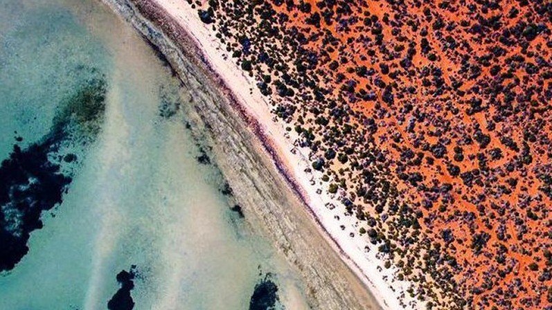 CultureTrip's tweet photo. By capturing turquoise blue water and abstract wave patterns, Salty Wings celebrates the beauty of Australia. https://t.co/hsYkMmfk6B