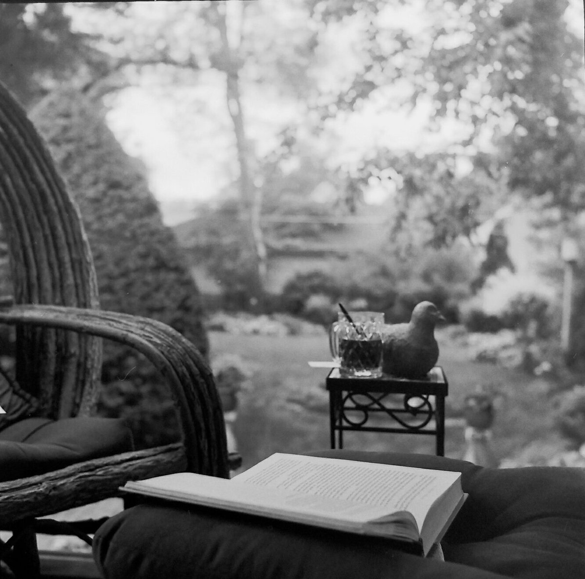 Wulo3's tweet image. How I'm spending the dog days of summer. What are you reading? I'm finishing The Blind Assassin #TriX #filmisnotdead