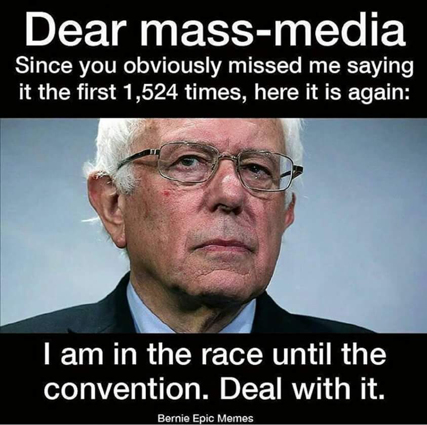 trixies3's tweet photo. BOO-YAH  &amp;  SNAP👊👊😃😉💙💚 #FEELTHEBERN🔥 #LetVotersDecide  #NOGMO #NOTRUMP #LEGALIZE  #NOCORPCASH #Not Hillary #Legalize https://t.co/8u153smudu