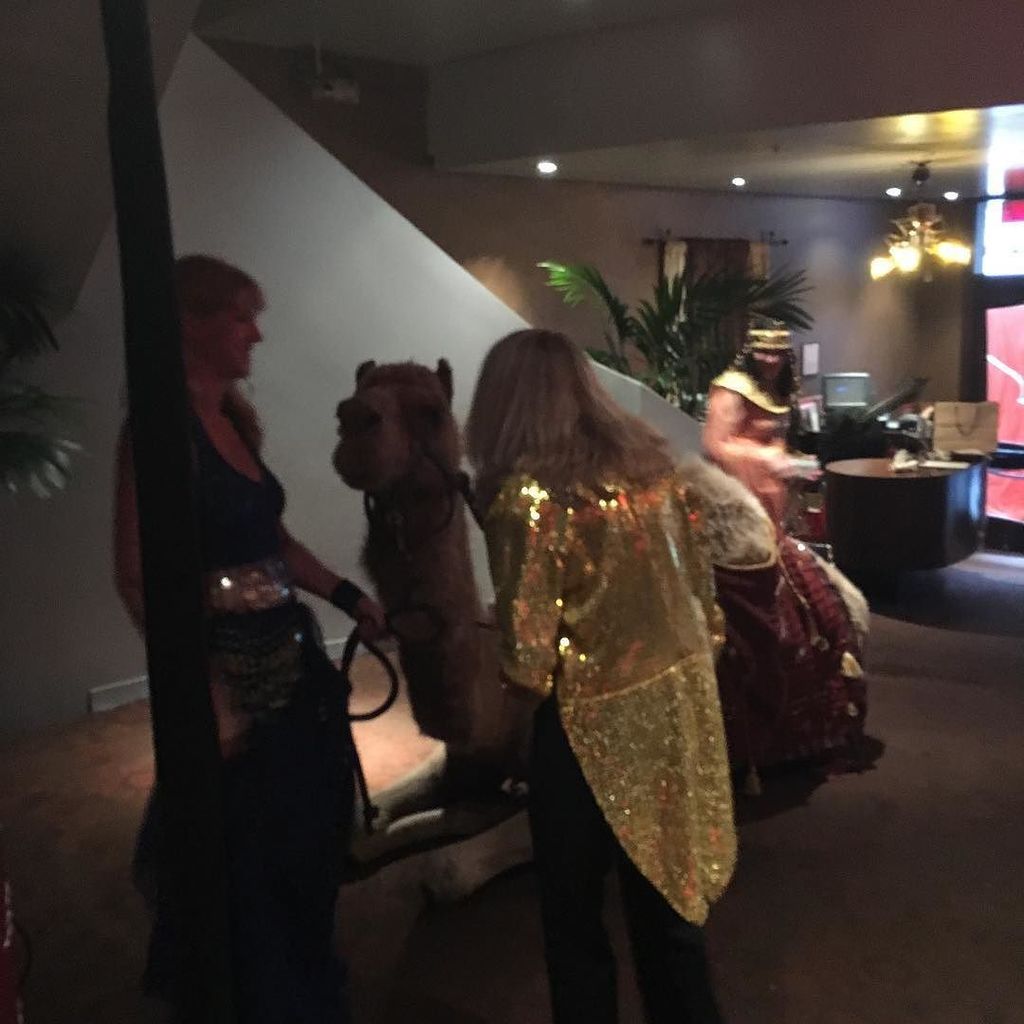 When a camel shows up to your event #DJ #camel https://t.co/znS22faSRG https://t.co/vHL4QKsEpF