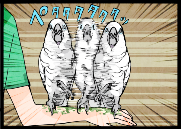 マイナビニュースでオウム４コマ更新しました！
なんですかこの意趣返し

オウム４コマリンク
 