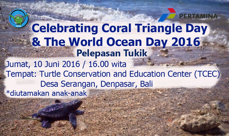tcecserangan's tweet photo. Besok, Memperingati Coral Triangle Day &amp; World Ocean Day 2016, akan diadakan pelepasan 100 tukik @BaleBengong https://t.co/8yEq0IMJ5o