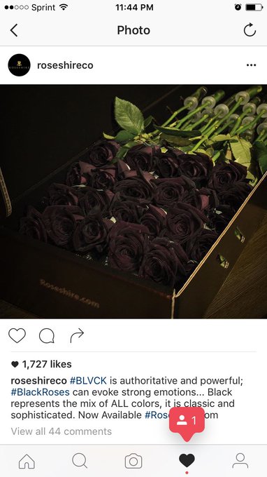 Ok so who wants to buy me these omg I'm so in love 😍 https://t.co/0CuPUoIFd3