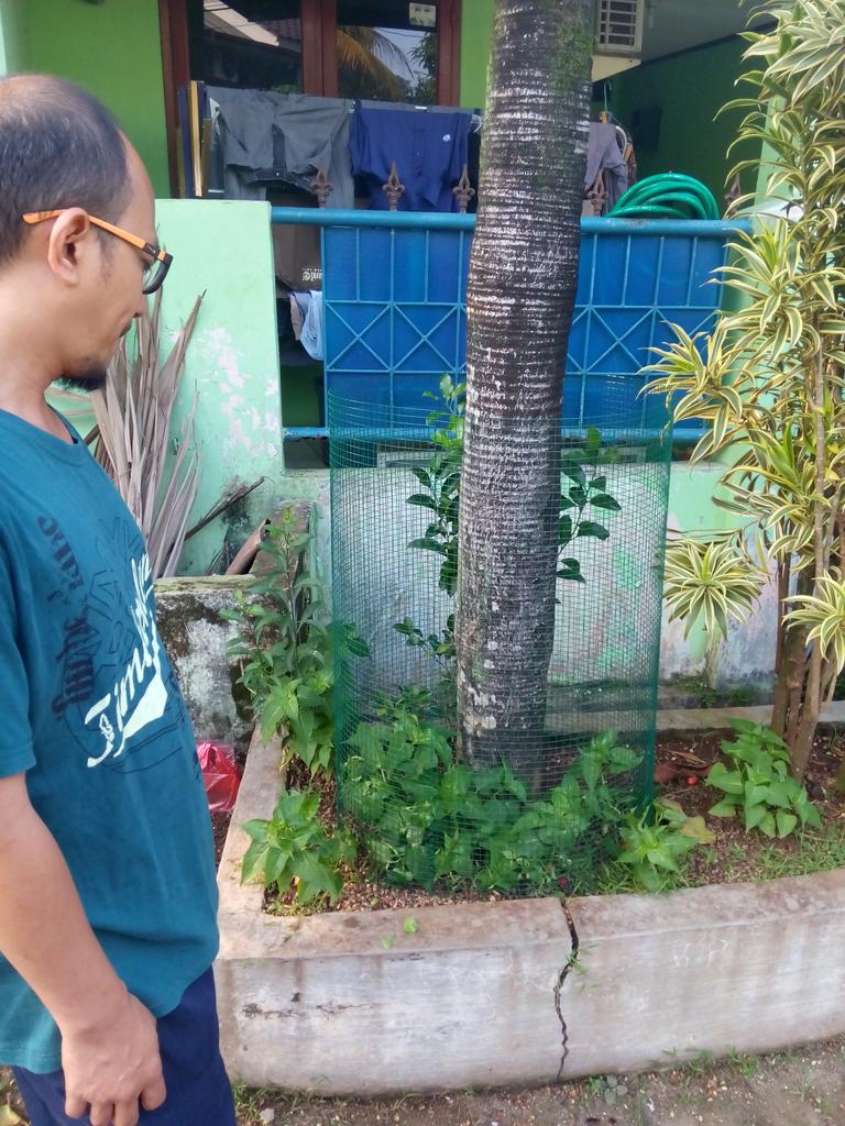 Yuk hindari bakar sampah daun kering dgn keranjang sampah daun di stp pohon
<a href="/indriseska/">inses</a> <a href="/IDberkebun/">Indonesia Berkebun</a> <a href="/greenerationid/">Greeneration.org</a>